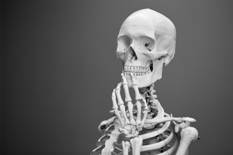 Güzelliğin Anatomisi